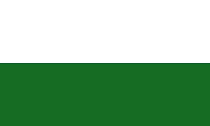 Sasko Flagge