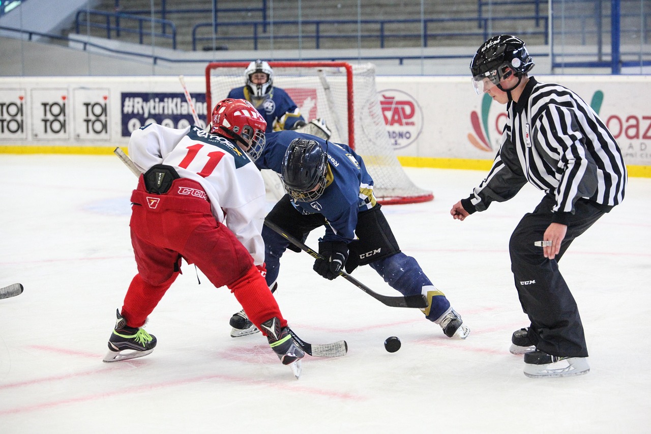 Deutschland Cup 2026 už nebude v Landshute